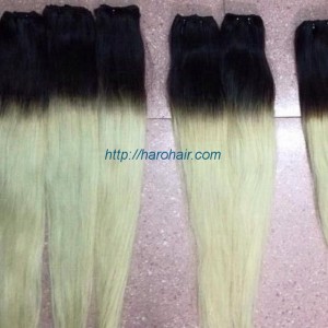Vietnam natural hair - Vietnamese human hair - Ombre hair